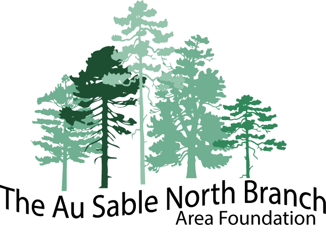 Au Sable North Branch Area Foundation logo