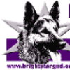 Brightstar German Shepherd Rescue logo