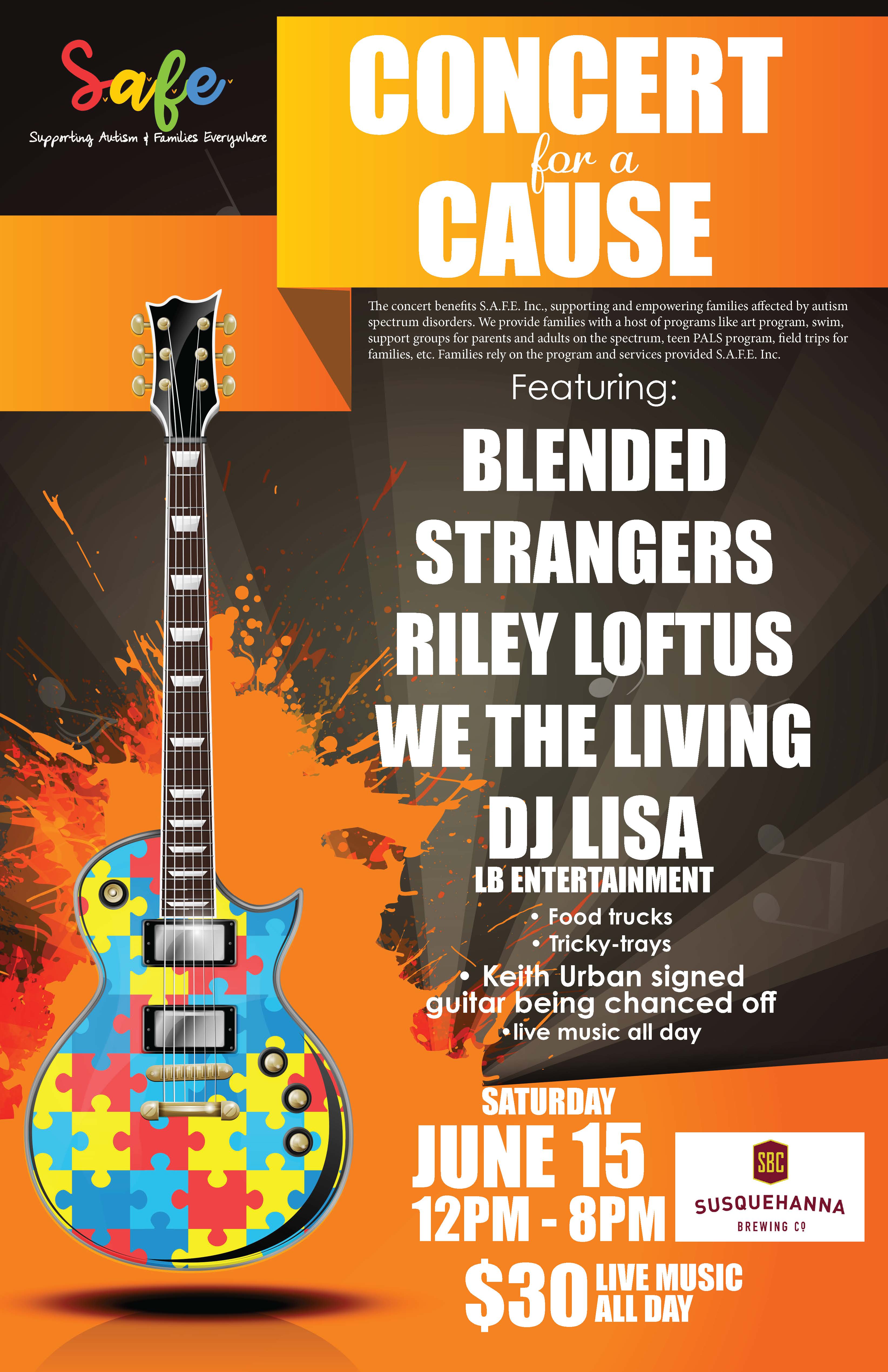Concert for A Cause | PayPal