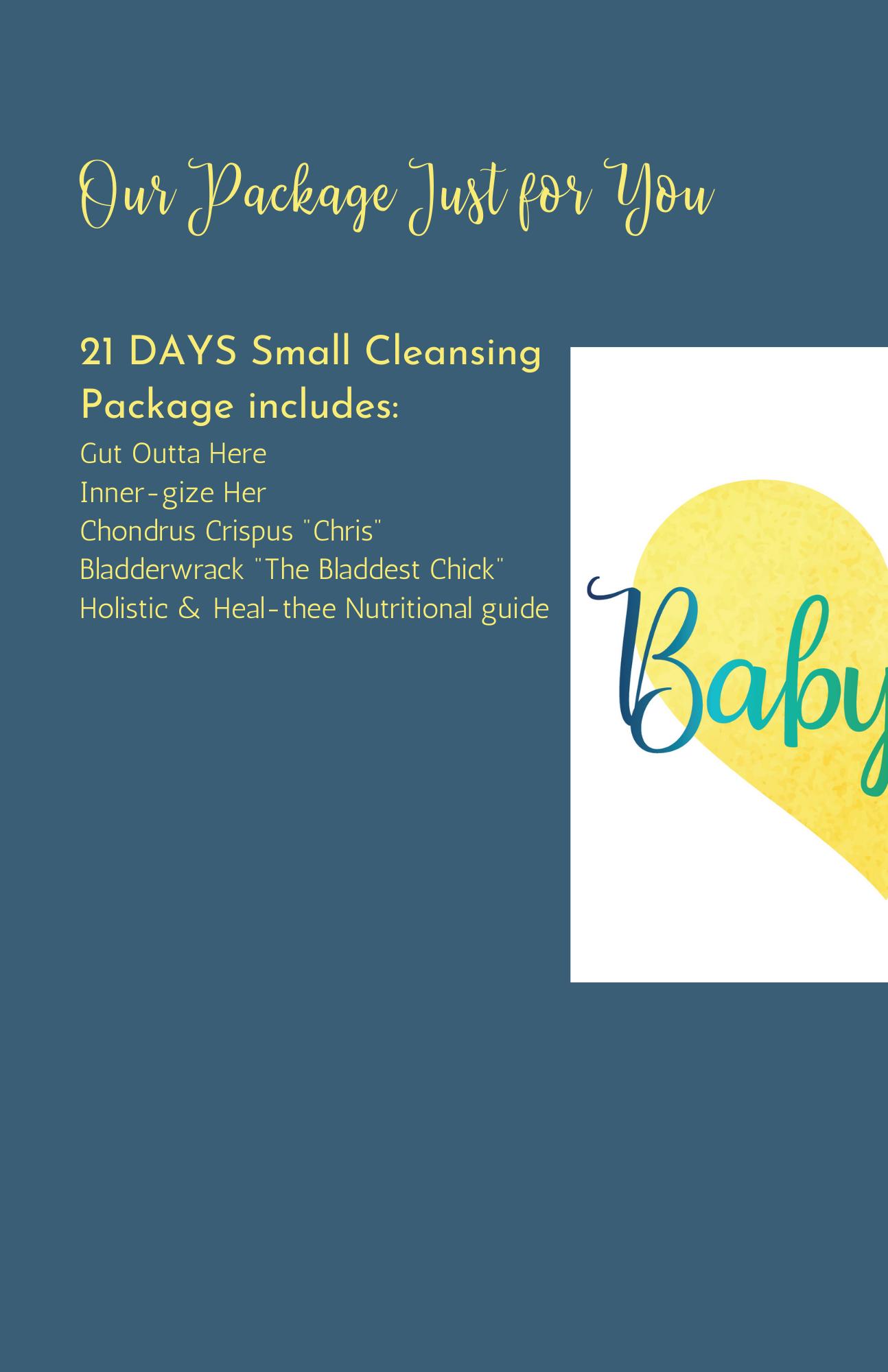 21 Day Cleansing Package PRE SALE PayPal