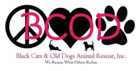 Black Cats & Old Dogs logo