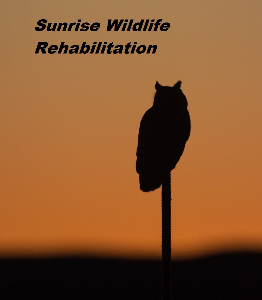 Sunrise Wildlife Rehabilitation Inc. logo