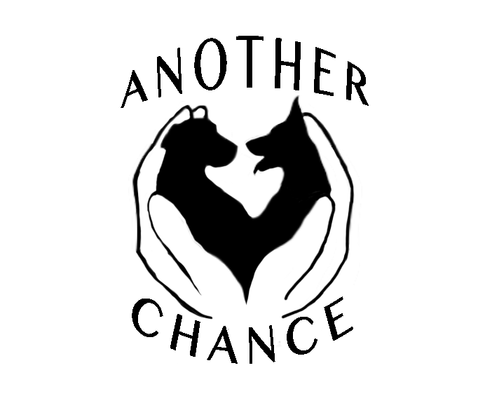 Another Chance Rescue Rehab and Sanctuary Inc.