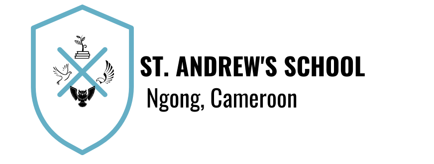 Saint Andrew School in Ngong Cameroon Inc. logo
