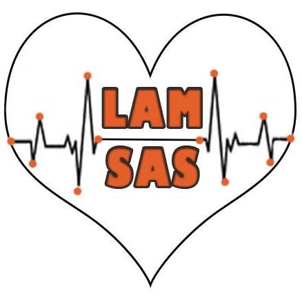 Latin American Medical Supplies and Support logo