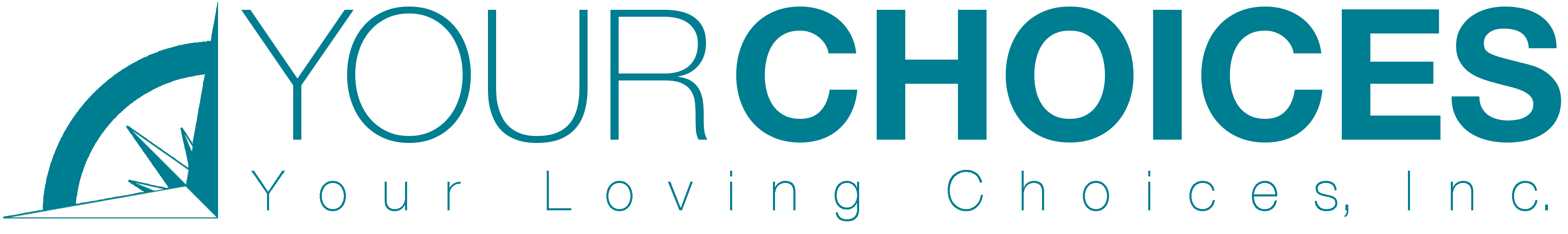 Your Loving Choices, Inc. logo