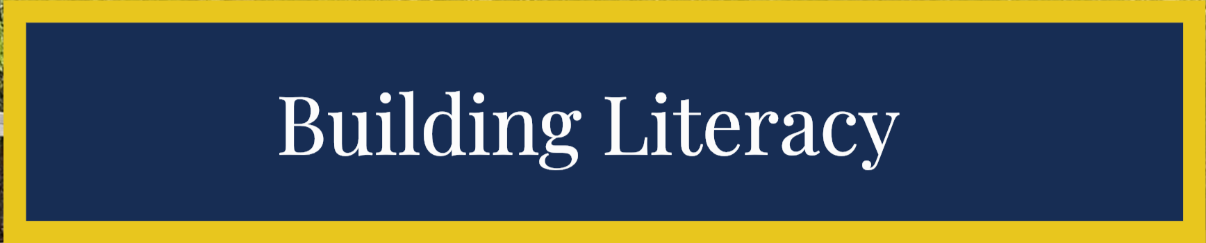 Building Literacy