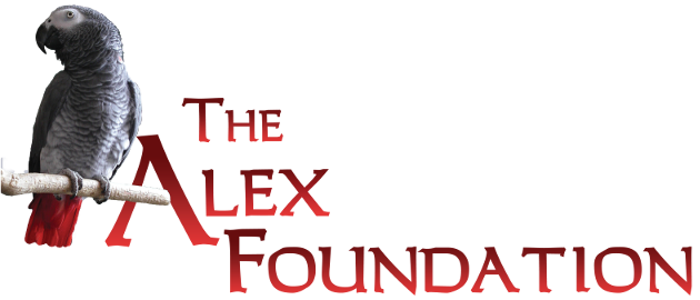 The Alex Foundation logo