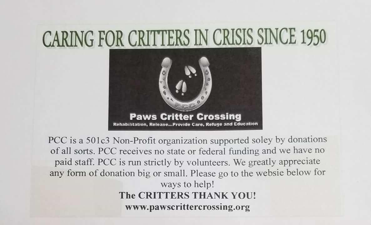 Paws Critter Crossing logo