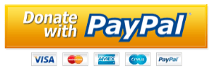 Donate with PayPal button