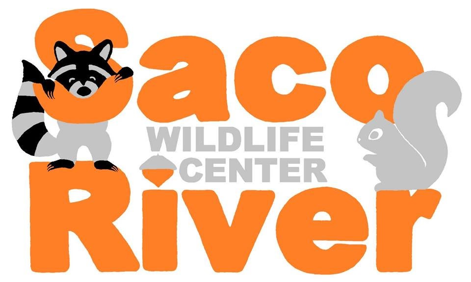 Saco River Wildlife Center logo
