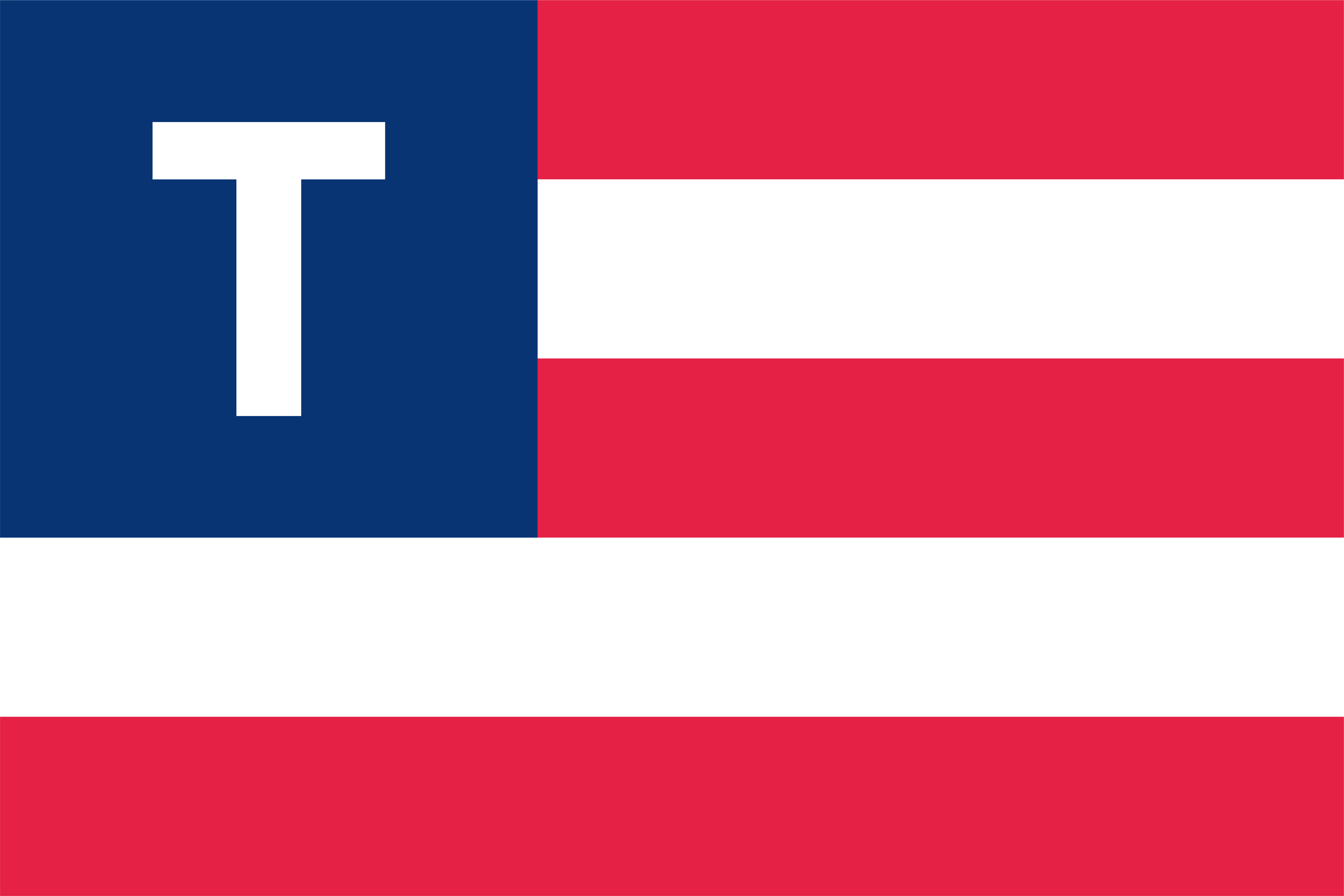 True the Vote