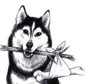 Adopt A Husky, Inc. logo