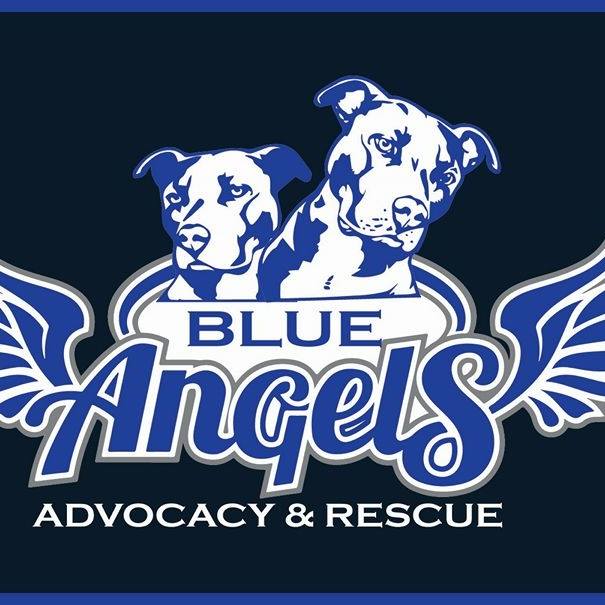 Blue Angels Advocacy and Rescue Resource logo