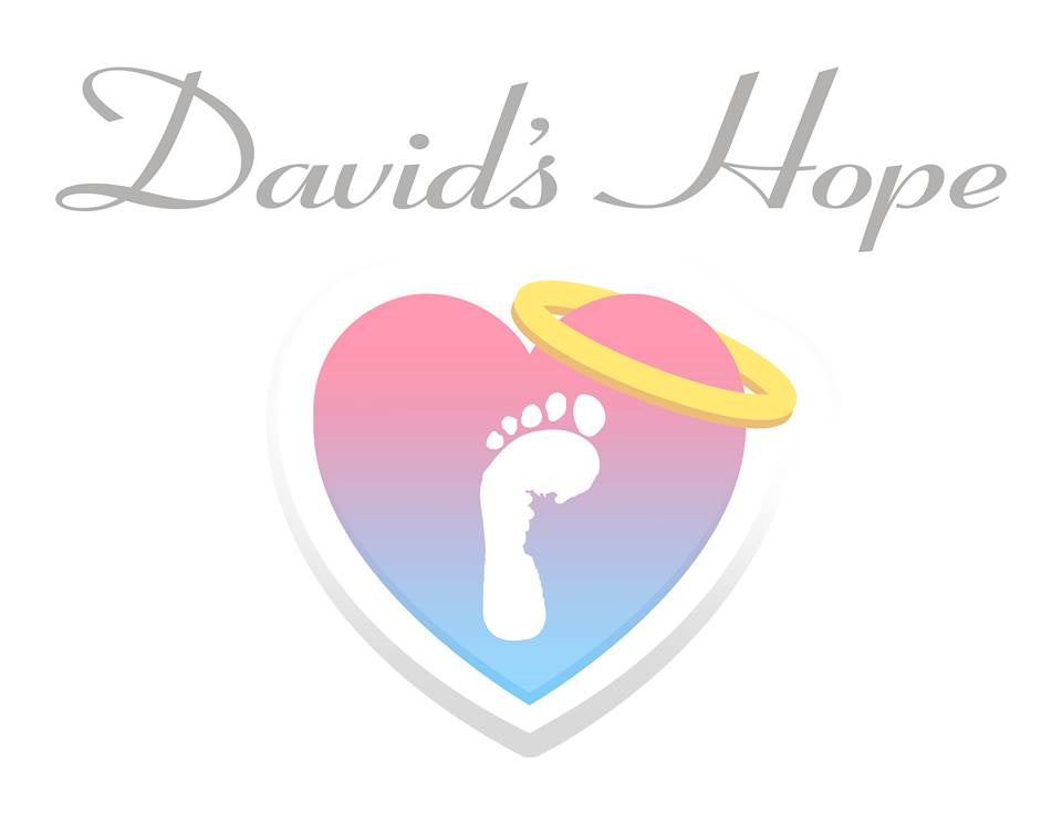 Davids Hope Pregnancy Loss Ministry Inc logo
