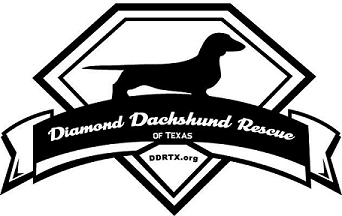 Diamond Dachshund Rescue of Texas logo