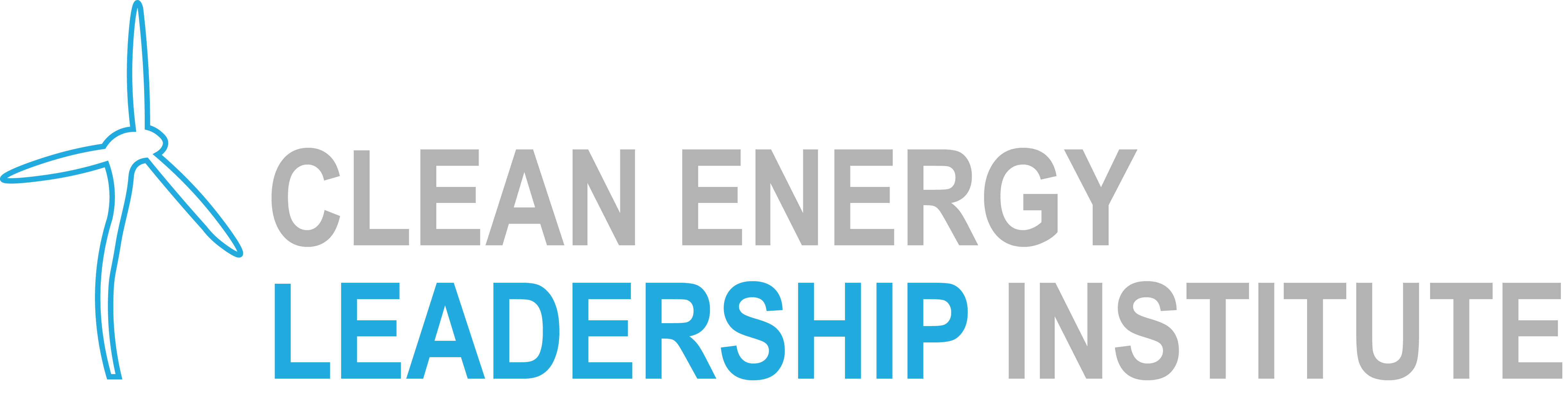 Clean Energy Leadership Institute logo