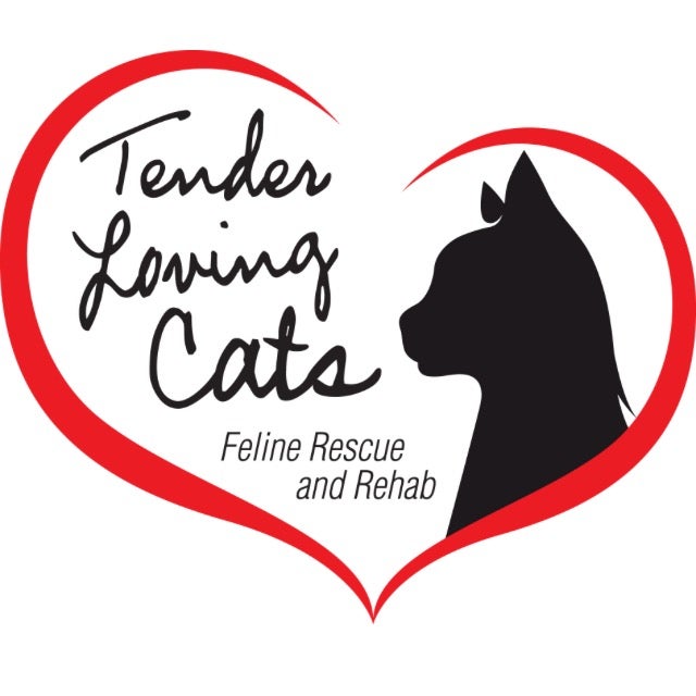 How to Support Tender Loving Cats, Inc.