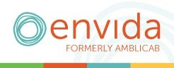 Disability Services, Inc  - DBA, Envida logo