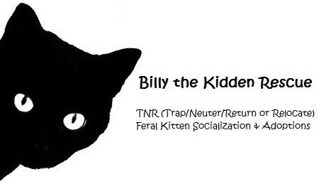 Billy the Kidden Rescue logo