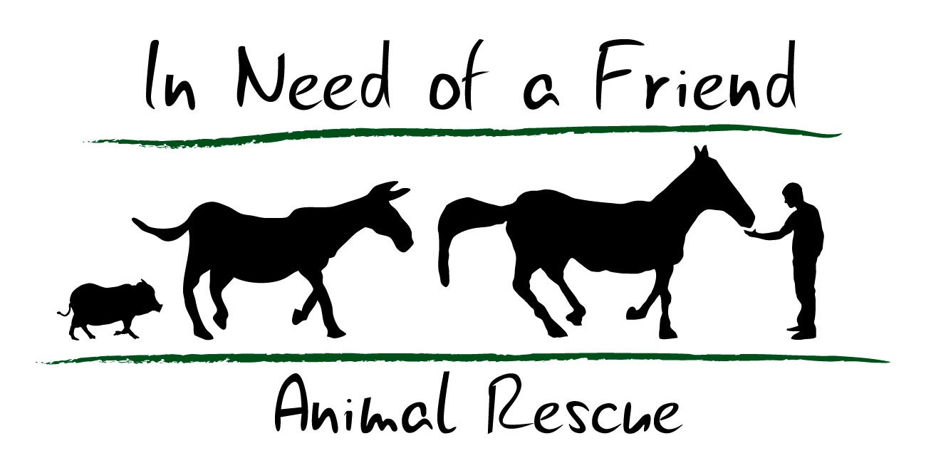 In Need Of A Friend