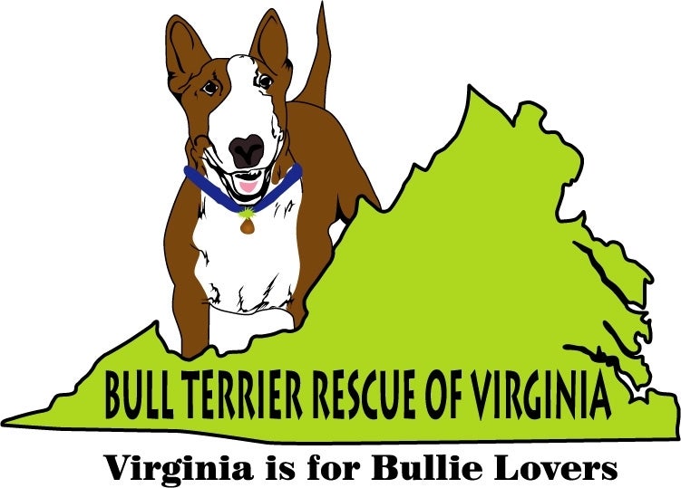 Bull Terrier Rescue of Virginia