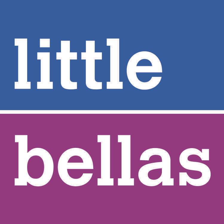 Bellas Mentoring Inc. logo