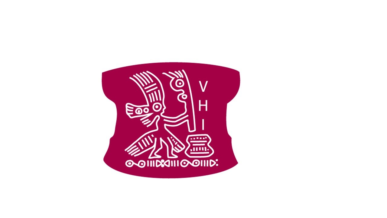 Vietnam Humanitarian Initiatives logo