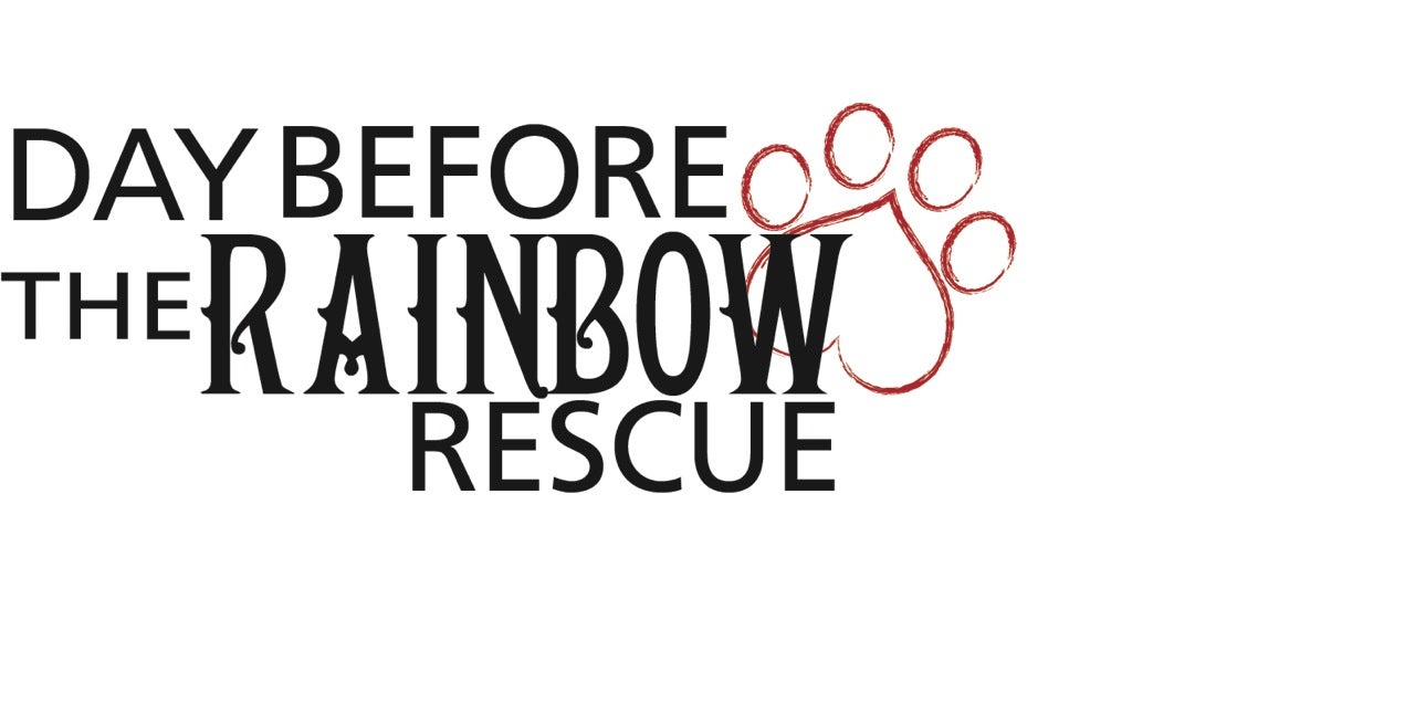 Day Before the Rainbow Rescue logo