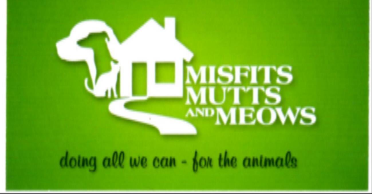 Misfits, Mutts and Meows, Inc.