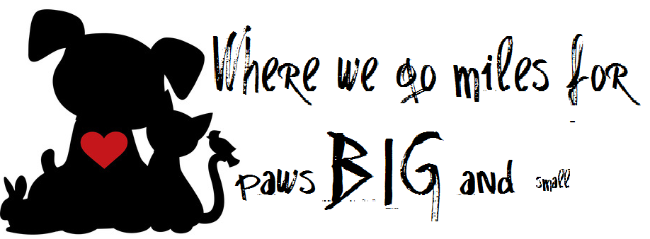 Paws for Miles logo