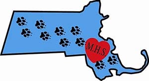 MASSACHUSETTS HUMANE SOCIETY, INC. logo